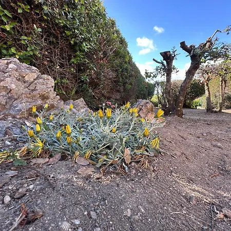 Vista Mare L'ancora דירה סטינטינו