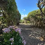 Vista Mare L'ancora Apartament