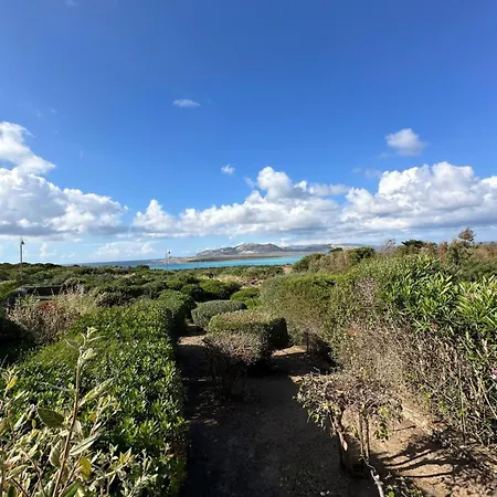 Vista Mare L'ancora Stintino