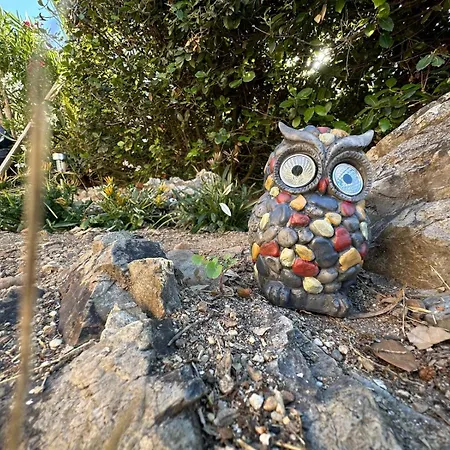 Daire Vista Mare L'ancora Stintino