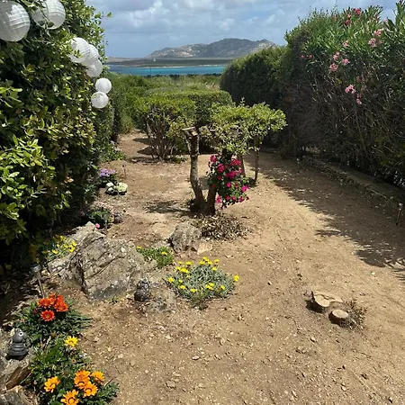 Daire Vista Mare L'ancora *