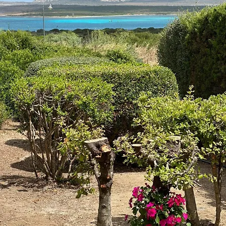 Vista Mare L'ancora Διαμέρισμα
