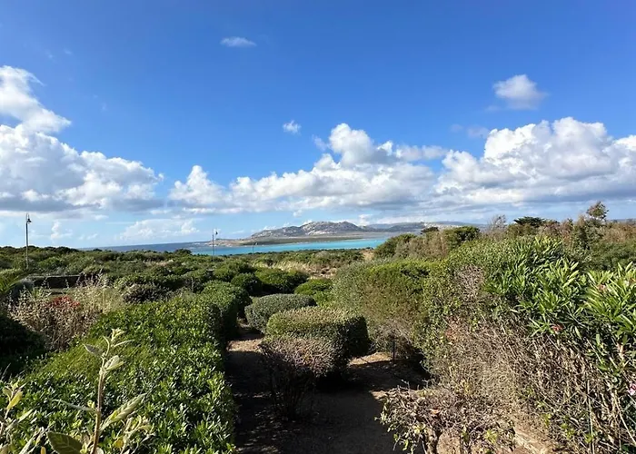Vista Mare L'ancora Stintino