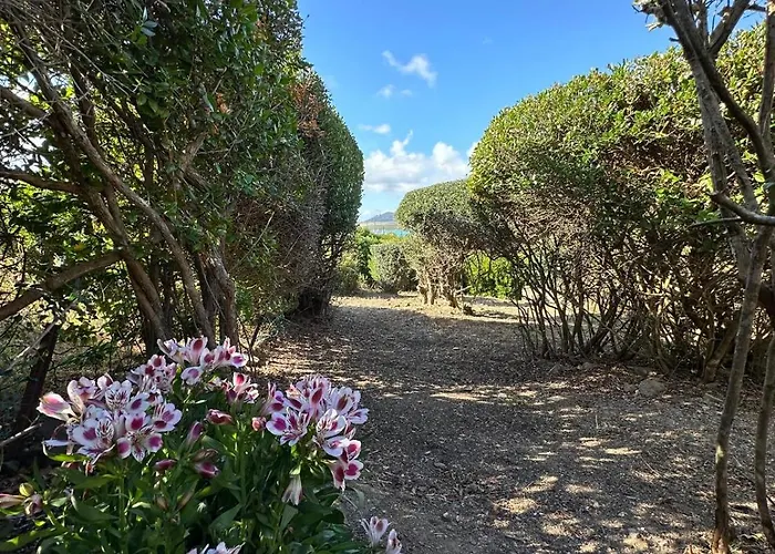 Vista Mare L'ancora Daire