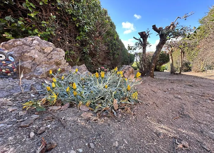 Vista Mare L'ancora Daire Stintino