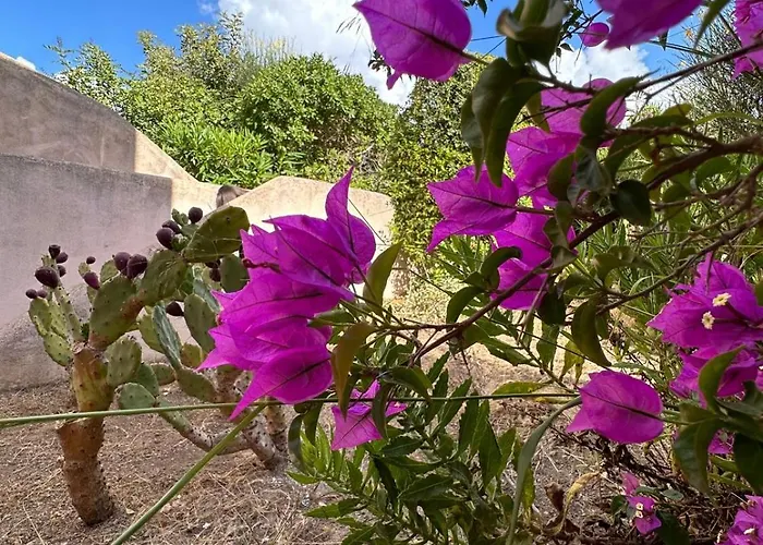 Vista Mare L'ancora Daire