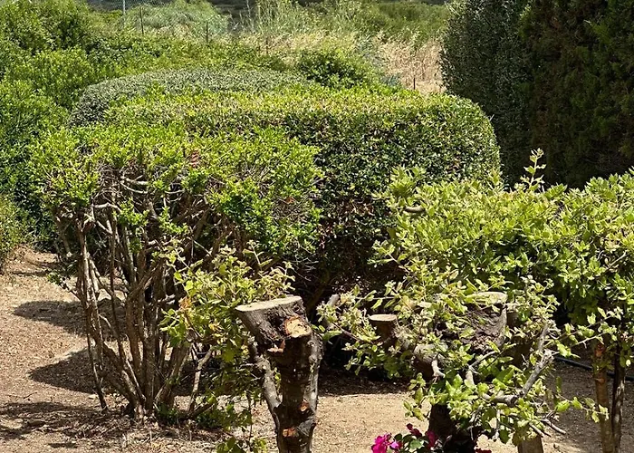 Vista Mare L'ancora Daire